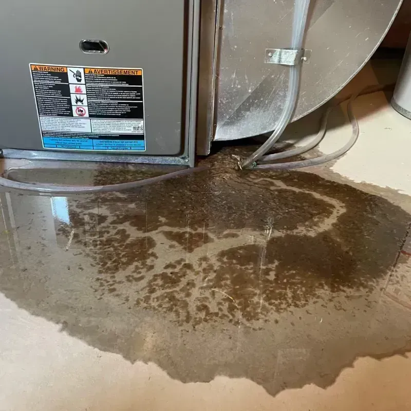 Appliance Leak Cleanup in Pine Lawn, MO